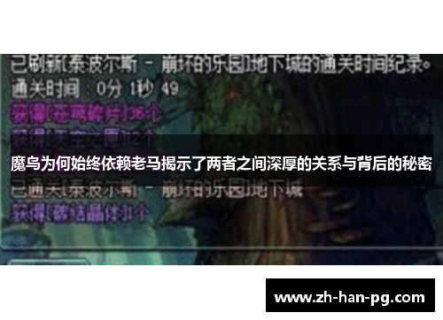 魔鸟为何始终依赖老马揭示了两者之间深厚的关系与背后的秘密