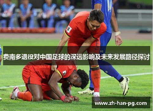 费南多退役对中国足球的深远影响及未来发展路径探讨